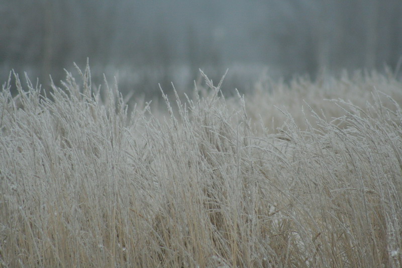 IMG_1724.jpg1.jpg"%20height="533"%20width="800